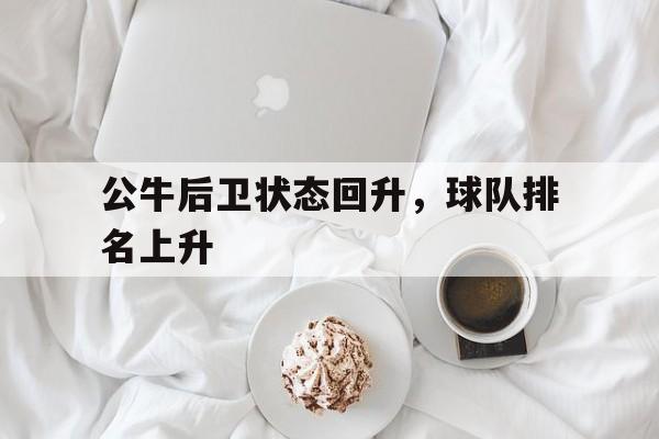 公牛后卫状态回升，球队排名上升
