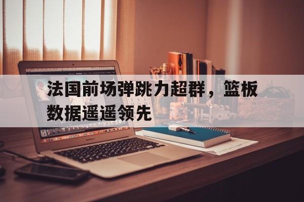 法国前场弹跳力超群，篮板数据遥遥领先